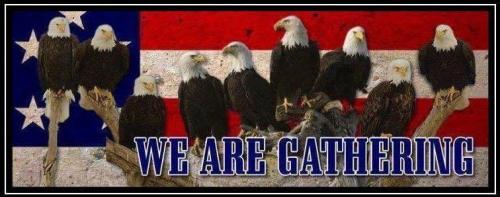 12745852_10153935610119138_4615377026080649354_n