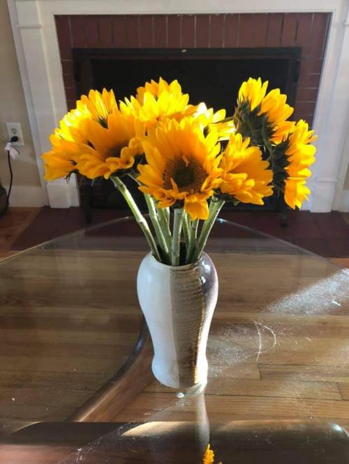 FB_IMG_1601424049176