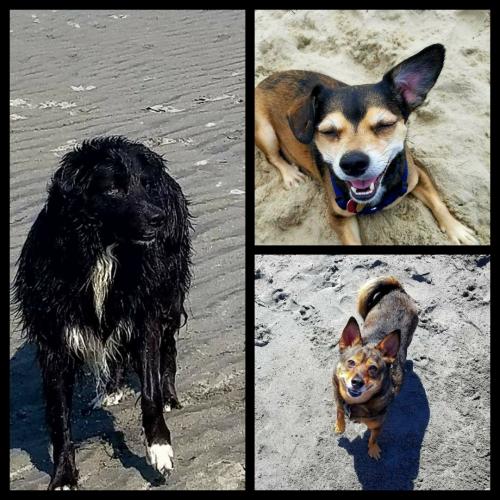 IMG_2020-09-12_23-32-56