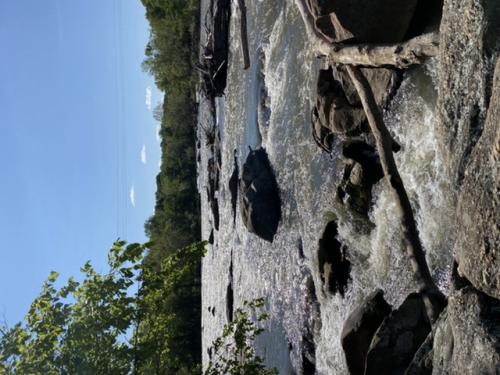 927C0BC8-5112-4A72-88D5-538CD157FD5C