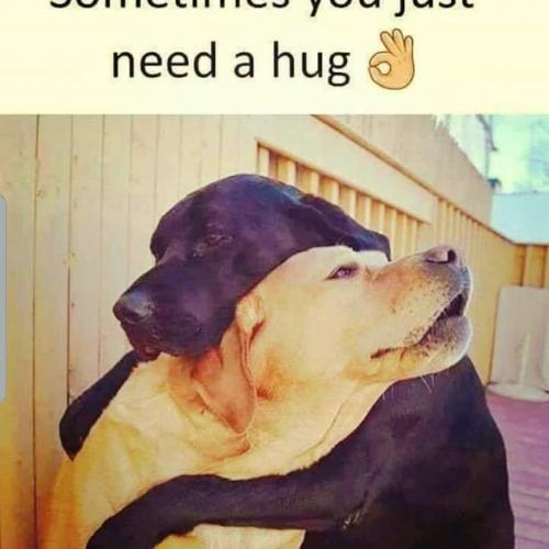 IMG_20200618_012603_104