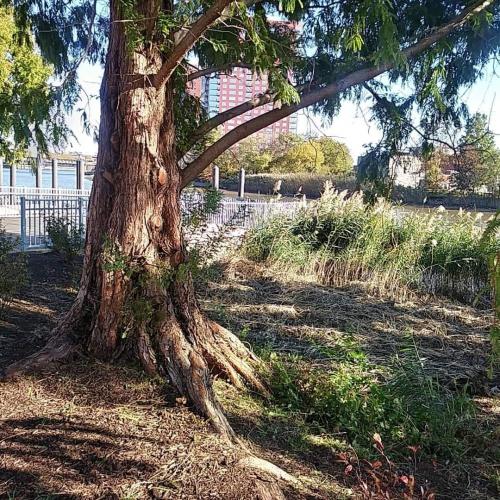 received_1905783462885313