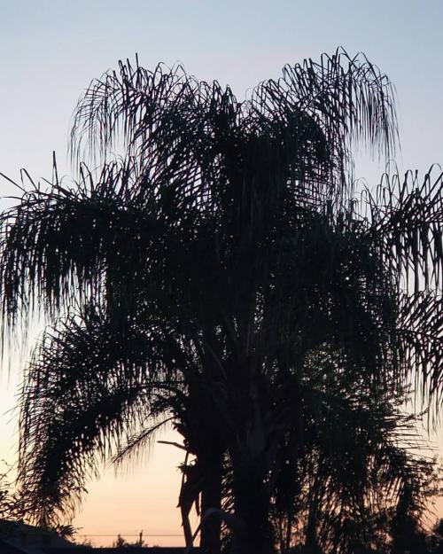 IMG_20200919_071116_049