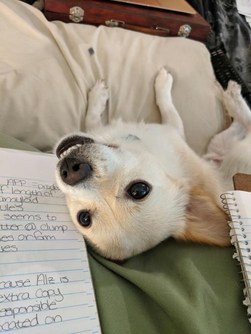 result_1599260799642