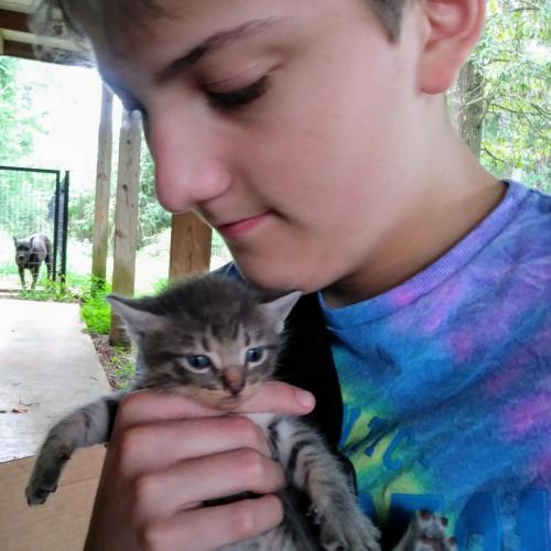 IMG_20200906_173140_936