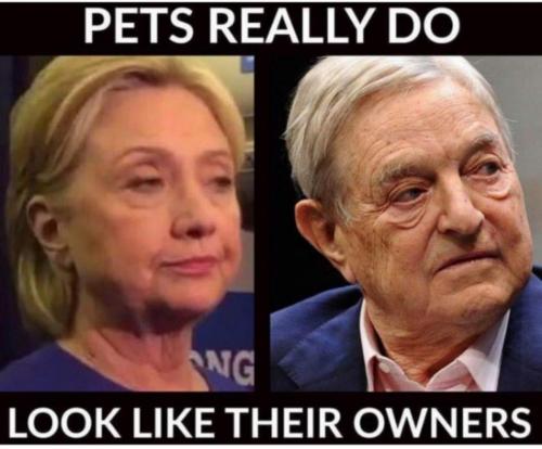 Screenshot_2020-09-29-05-53-59