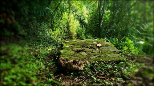 da3e3034-9df9-4f95-ab6c-7facbc0ddd10