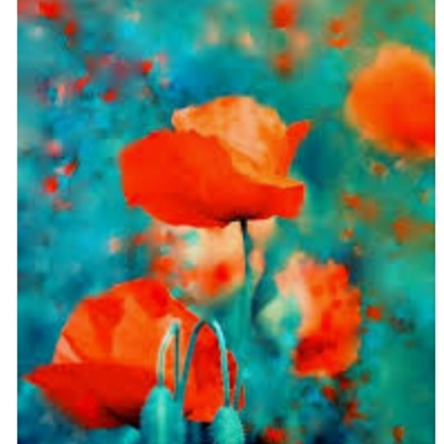 f5a43f2c-b705-49b8-943d-d61d3f5ec84d