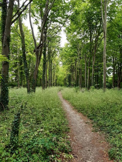 119986892_2779315848973408_3819529420361930243_n