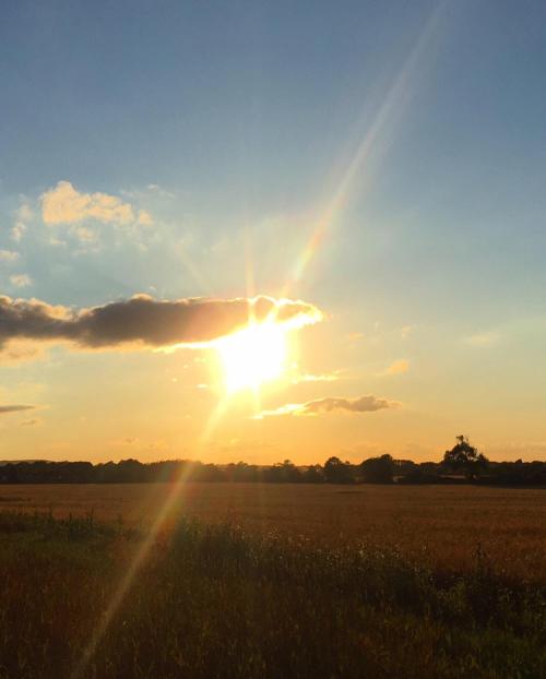 9D0901E8-9A5A-433C-9BC2-3C8BF2834CEC