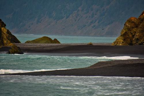 118897005_10224275064287928_7767481110419804714_o