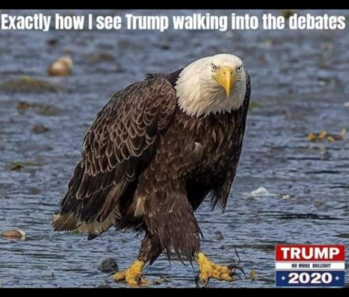 Screenshot_2020-09-29-15-01-55