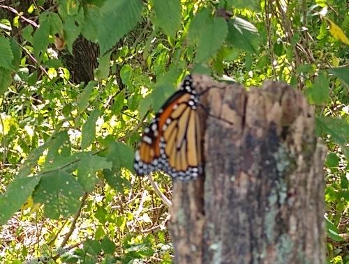 IMG_20200907_153941357~2