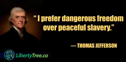 I-prefer-dangerous-freedom