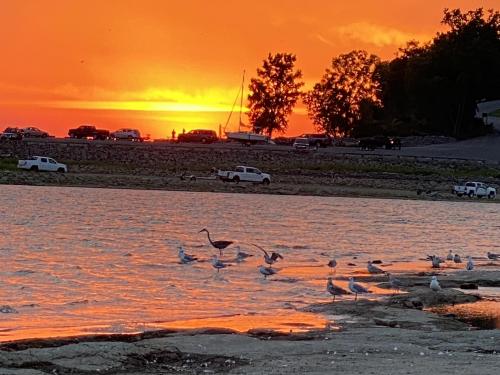 B035B3CD-137D-476C-A9A6-0AB0A479665D