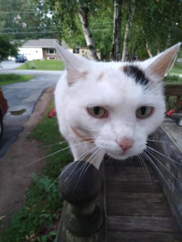 116581062_3001633993280685_7608356968763462334_o