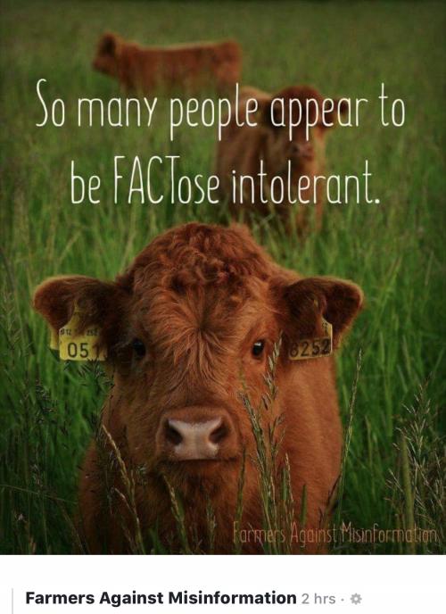 EEF05D0B-2B3A-41EC-8256-32EDF9B95E9B