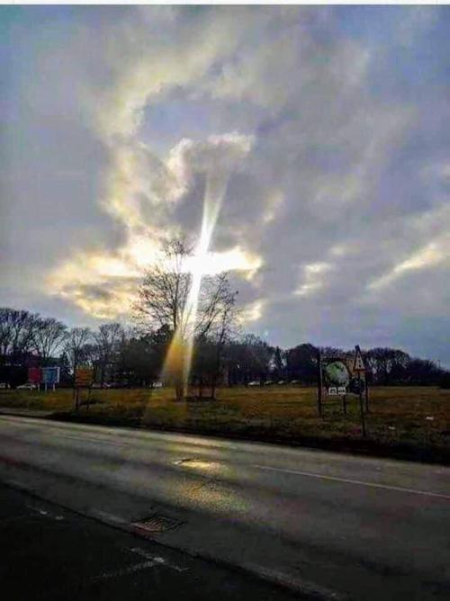 30F8209D-68E9-4794-B3AD-AC9E1044249F