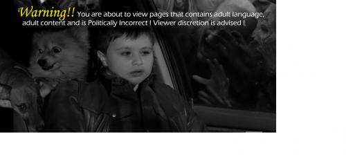 14856011_10210140909586899_90cover