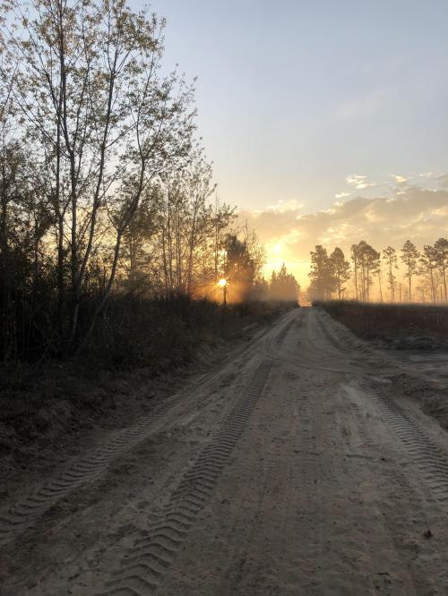 250A333C-EE1A-4215-8F0F-C78F1A624138