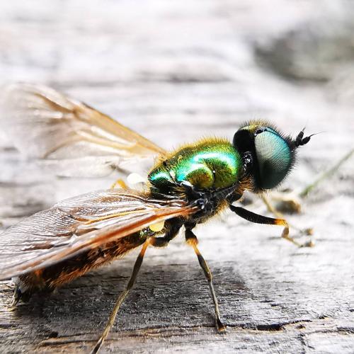 IMG_20200802_183659_891