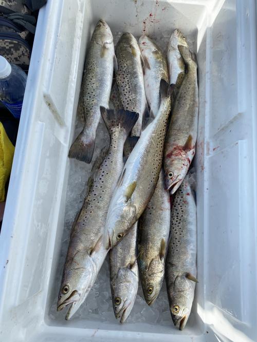 61435597299__385E5D04-785F-4C49-BF91-D1A223FCC3D6