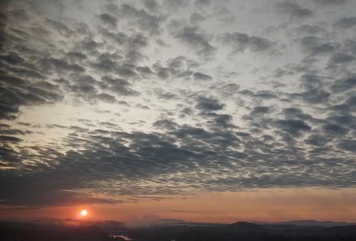 inbound1934067290728022236