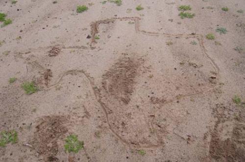 Texas is Line in Sand - lo res