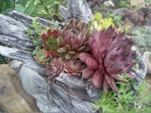 IMG_20200527_093824830_HDR