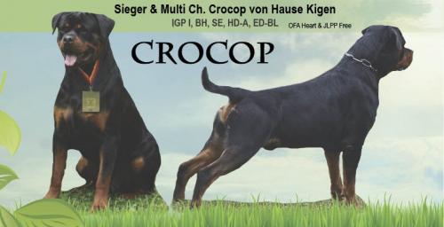 Crocop RGM AD Sept 2020 (2)