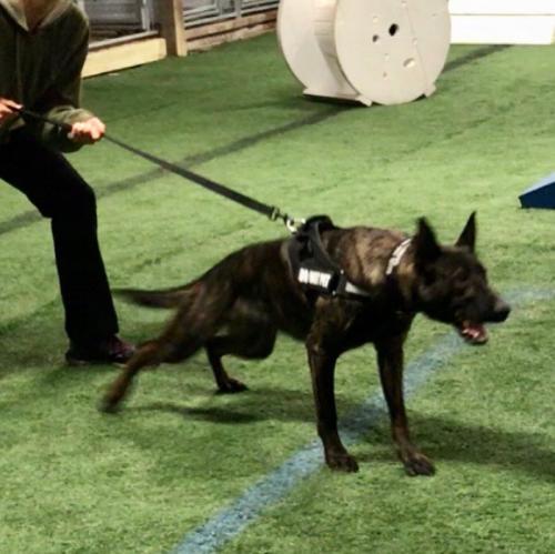 F469F02B-A1CC-4DF5-B973-90F8EAE9042A