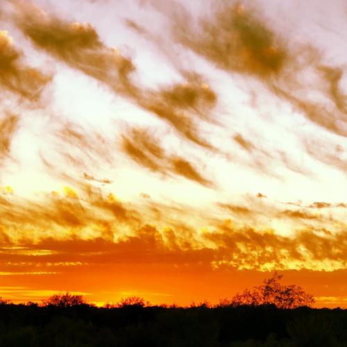 921F38DA-CBD7-4C56-A262-2C4F1E4CA8A2