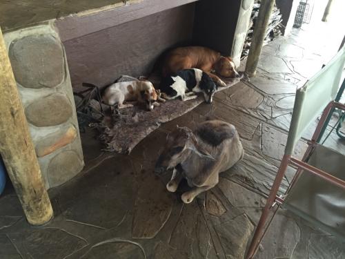 6FB1912A-EA0D-4227-888B-07DE389D4786_1_105_c