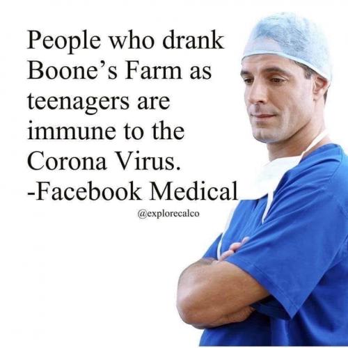 BOONES FARM