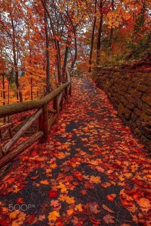 FB_IMG_1599930750193