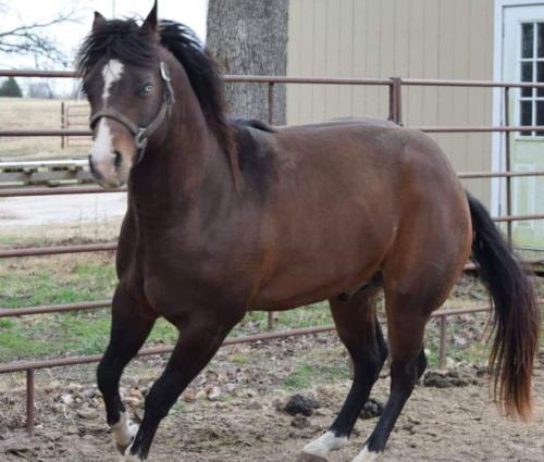 received_1000087030428365