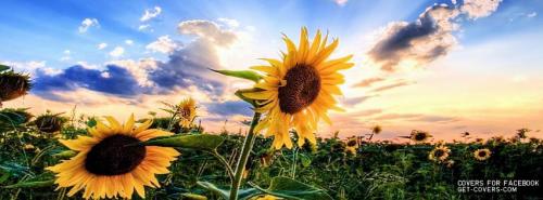 03B90627-BA9D-40BF-95D9-4FCF40F89A76-2429-00000154965CA088