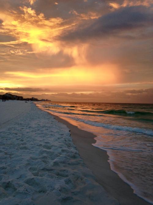 71F600BD-F8A3-442C-ADB4-A812234A0895