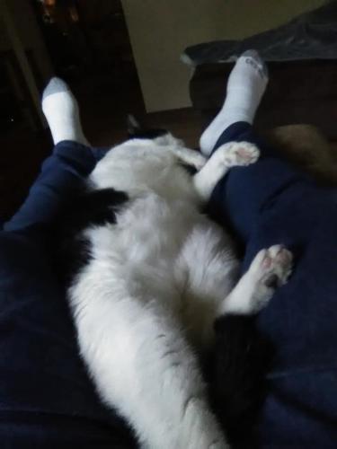 104121016_2884975214946564_4675593164434381059_n