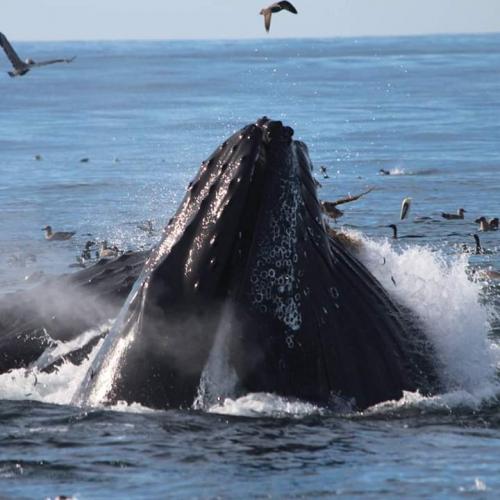 FB_IMG_1577452898919