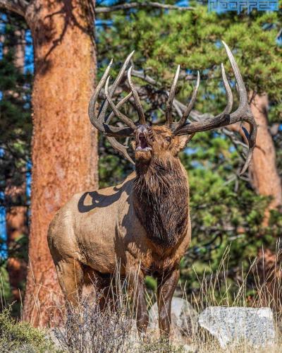 FB_IMG_1566707203313