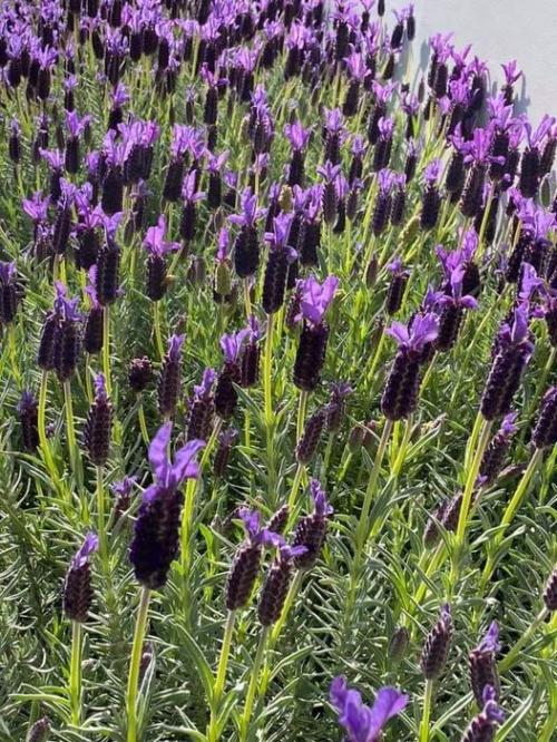 118626907_10214811120106614_7757837108504388849_n