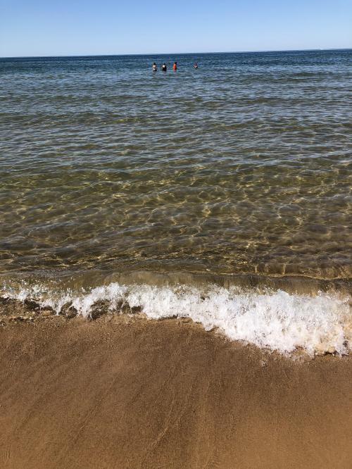 DCC5D891-2B98-4E02-B67E-5C6D4D7AE404