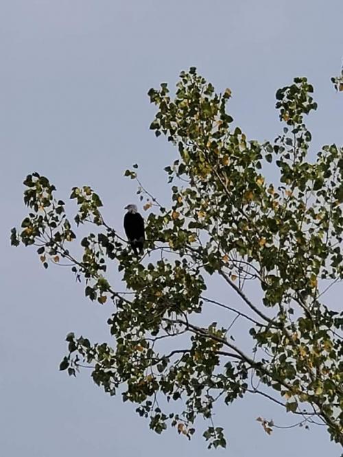 FB_IMG_1599398580144