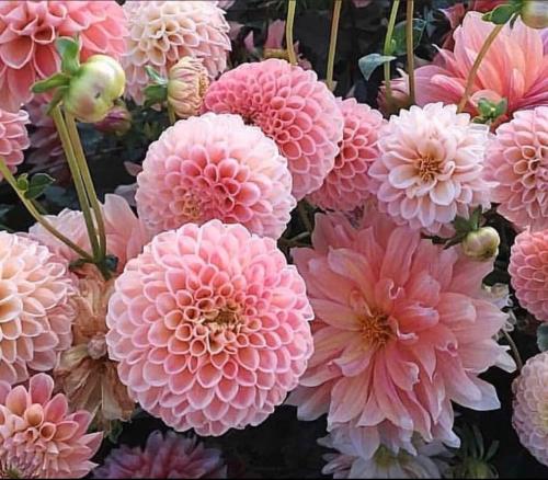 7570e25d-3cc1-46d0-9ac6-13eebec81964