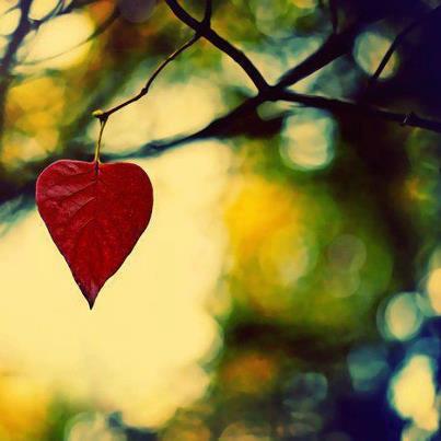 58744_368549999897157_1856306793_n