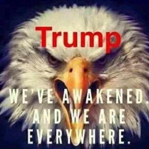 30742614_1015035938678674_4440682892432978222_n