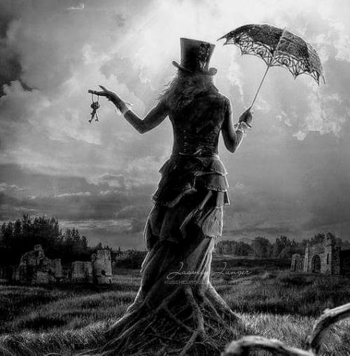 FB_IMG_1575761348234