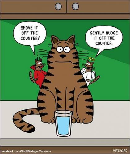 202008290636-ujQirQFaSX