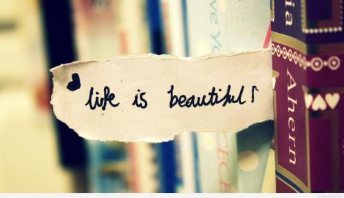 6DC4A931-0B80-4126-9EEB-527DE6E22ED0